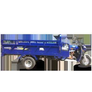 Cheap 300cc Gas Powered Cargo Tricycle with 2000kg Loading Capacity for sale