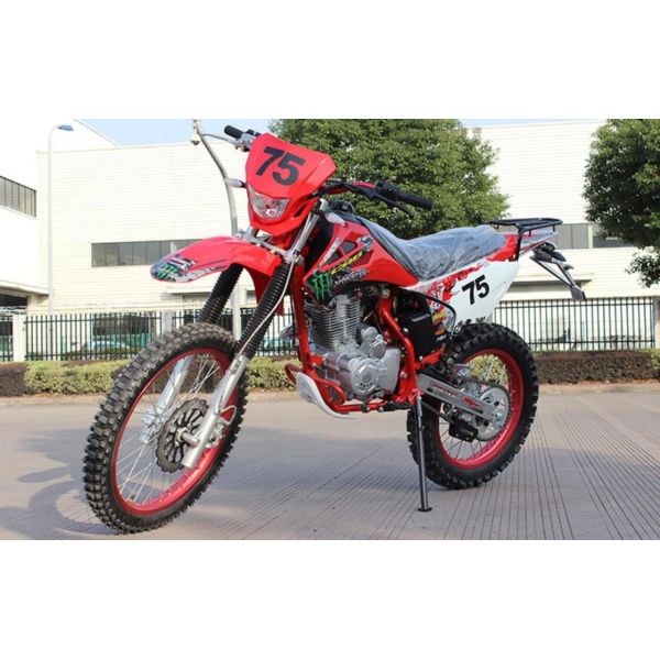 Quality CDI Lgnition Gas Powered Dirt Bikes 150cc Mini Type 150KG Loading Weight wholesale