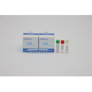 China Flu A Flu B One Step Real Time PCR Kit Highly Sensitive 96 Tests HIV PCR Test Kit on sale China Flu A Flu B One Step Real Time PCR Kit Highly Sensitive 96 Tests HIV PCR Test Kit on sale