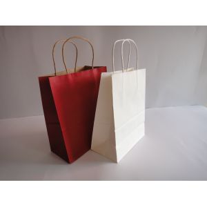 Embossed Printing Paper Bag 250gsm Printed Paper Carrier Bags