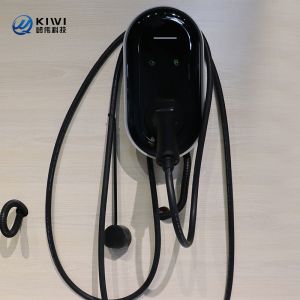 China 11kw Type 2 Electric Car EV Charger IP54 Protection Level for Home Charging Solutions on sale