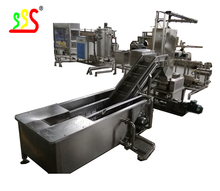 Quality Food Grade 304 Stainless Steel Automatic Apple Processing Line With 1 Year Warranty wholesale