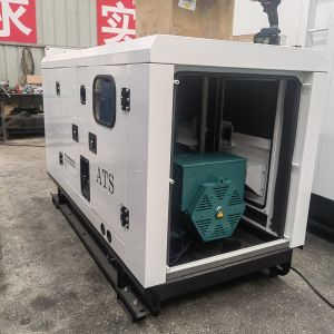 36A Rated Current 20KW 25KVA Natural Gas Generator Set with CE ISO CCS