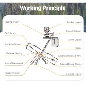 High Capicity Agriculture Use Combine Rice Processing Machine For Color Sorting