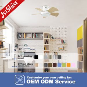 Energy Saving 28 Inch LED Ceiling Fan for Low Ceilings Metal Body and Flush