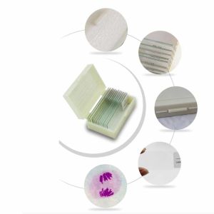 Hot Sale 25pcs Glass Human Prepared Histology Microscope Slides wooden set for