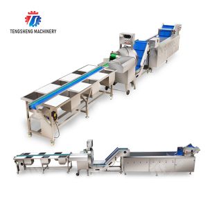 Fruit and vegetable selection, cutting and washing production line Fruit