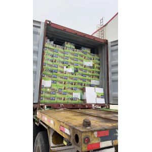 30*50 Size Swelling Self Sticky Waterstop Strips for Concrete Joints Bentonite