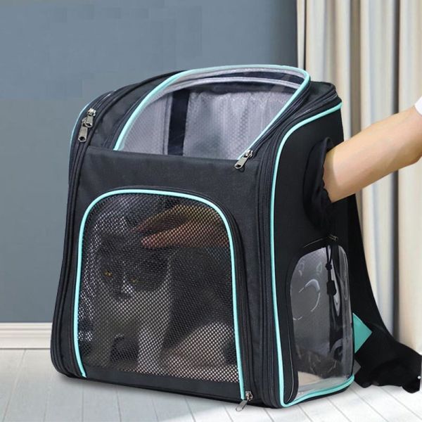 Quality Customization Pet Dog Cat Travel Carrier Backpack With Breathable Mesh wholesale
