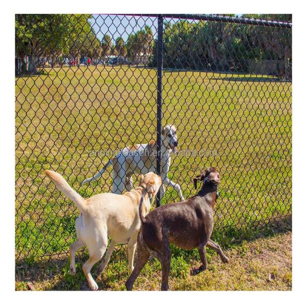 Quality Hot Dipped Galvanized PVC Coated Diamond Chainlink Fence for Pressure Treated Fencing wholesale