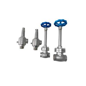 Cryogenic Globe Valve Socket Welding -196~+80 ℃ For LNG LOX LIN LAR LCO2 Liquid