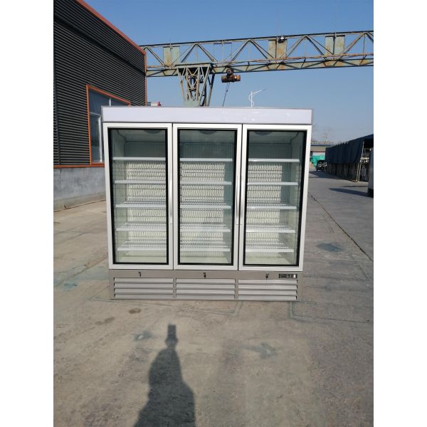 Commercial Upright Glass Door Freezer Fridge With Plug - In Secop Compressor