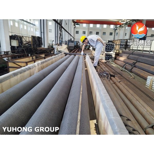Stainless Steel, HFW Serrated Fin Tube, ASTM A312 TP304H With SS304 Fin, For