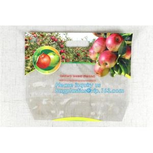 Stand Up Roasted Chicken Packaging Bags With Zip Top hot roast, rotisserie