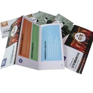 Custom Advertising Printing Folded Frequent Leaflet Booklet Flyers