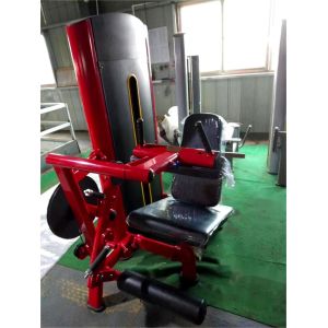 Commercial Gym Equipment Pin Loaded 2 in 1 Adjustable Seated Leg Extension Leg