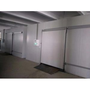 Custom Cold Storage Room For Fish And Meat Freezing With Automatic Control