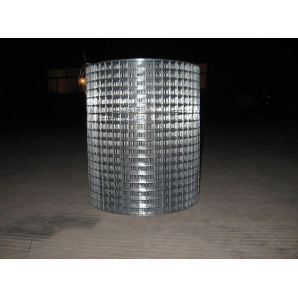 Quality 1", 25mm Openging Hot Galvanized Welded Wire Mesh With Above 6 Years LifeSpan wholesale