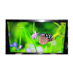 17.3-inch high-brightness LCD module Temperature range 0°C to 70°C Customizable