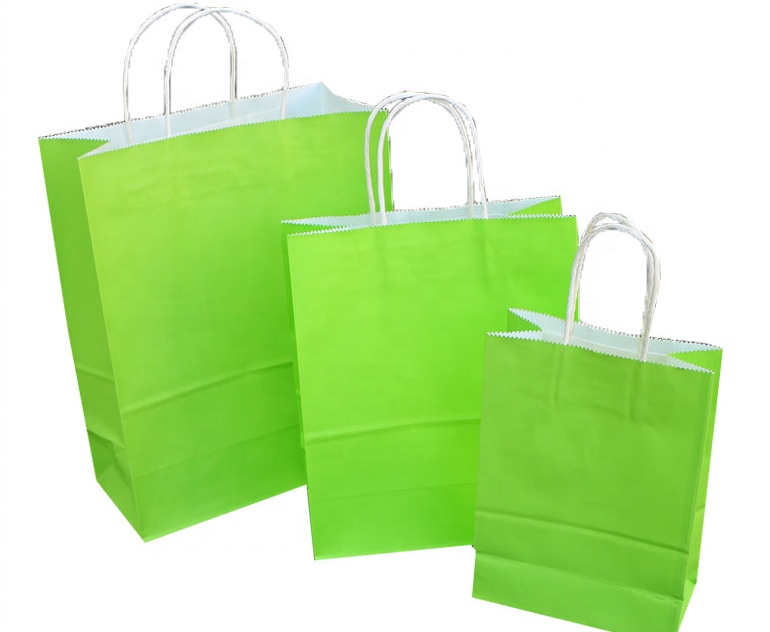 Customized Color Shopping Paper Gift Bags With Handles 15X8X21 Cm