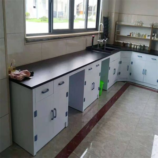 Quality PP storage laboratory furnitures for functional lab organization wholesale