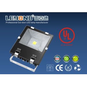 China UL CE RoHS Listed Waterproof LED Flood Lights Whole Allumium 100W Outdoor Lighting on sale