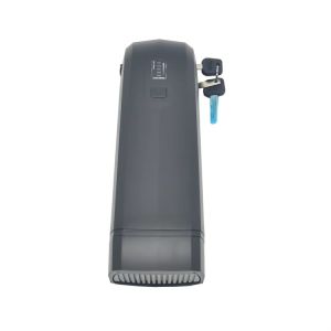 1000w 8ah 48v Triangle Battery For Power EBike Lightweight