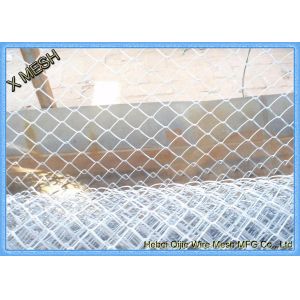 Hot Dipped Galvanized Chain Link Garden Security Wire Mesh Iron Metal Farm Fence