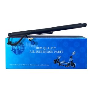 Long-lasting Power Tailgate Strut A1668900100 For Mercedes Benz GL GLS (X166)