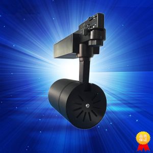 Three circuit 20W LED track light 13 /24 /38 Degree COB LED spot with 5 years