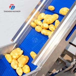 Roller washing and cutting production line Fruit Vegetable FOOD processing