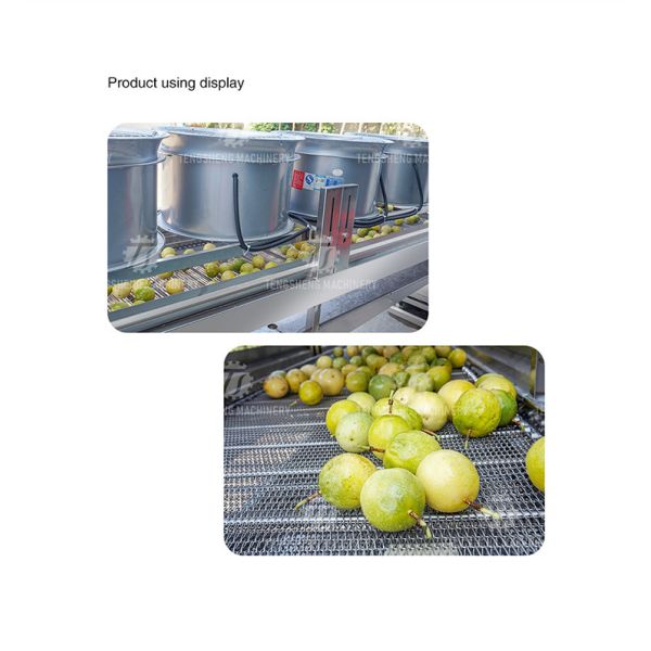 350KG Vegetable drain air drying machine stainless steel fruit and vegetable air drying complete equipment parallel type