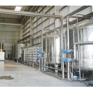 Pure Water Processing Equipment High-Efficiency Pure Water Processing Solution