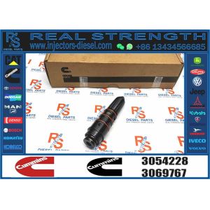 Fuel Injector 3054228