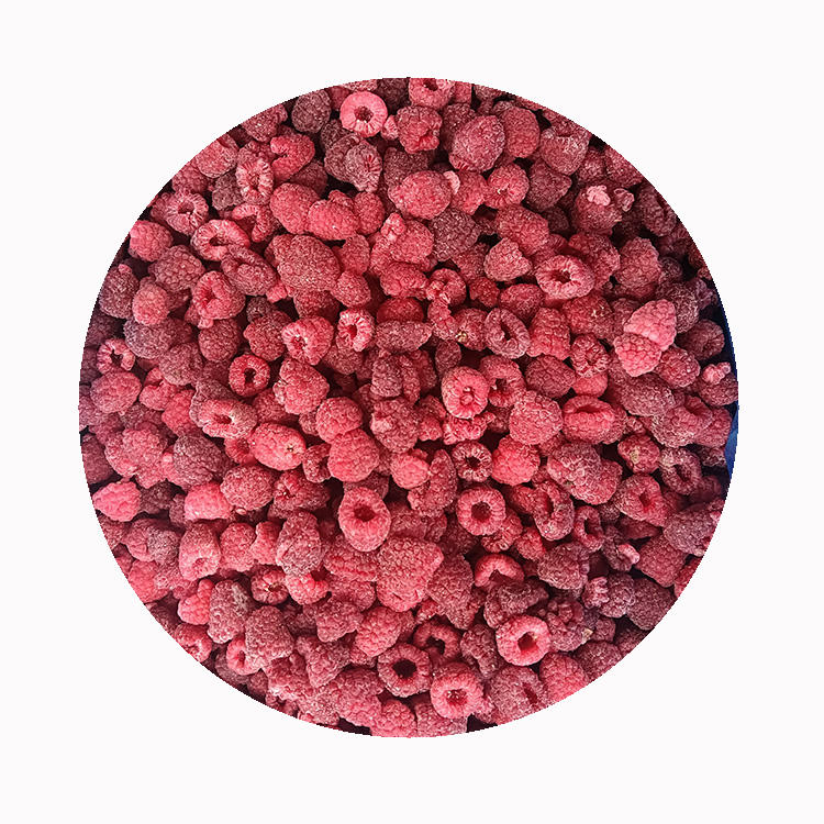 High Quality Fresh Frozen Raspberry Handpicked for Sweet Taste for Juices