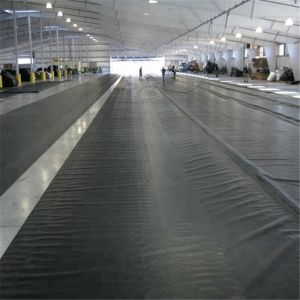 1mm 1.2mm 1.5mm HDPE Geomembrane for Dam or Artificial Lake Black Green Blue