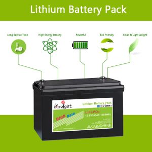 Bms Lithium 12V LiFePO4 Battery 12.8 V 100ah Lithium Deep Cycle Battery