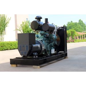 Customized 350kw Natural Gas Generator with 630A Rated Current and CE Certificat