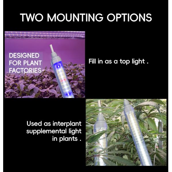 Full Spectrum T8 LED Tube Lighting 18W 25W 36W With Connector