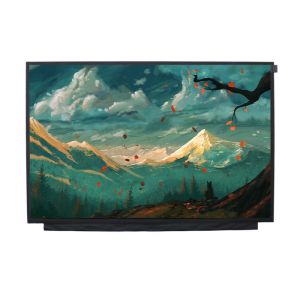 Ultra Thin TFT LCD Screen Panel 15.6 Inch 1920x1080 With EDP Interface