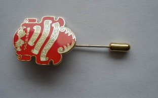 Professional Customized Iron / Brass Epoxy Coating lapel pin badge with lower