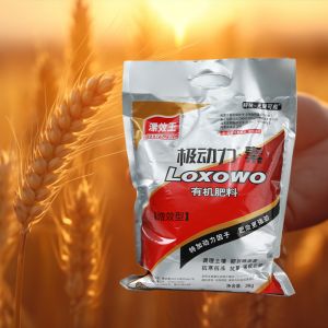 Seaweed Amino Acid Enhanced Efficiency Fertilizers Synergistic Nurition