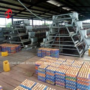 China Turnkey Project Automatic Poultry Battery Cage System 3 Tiers 450cm2 Star on sale