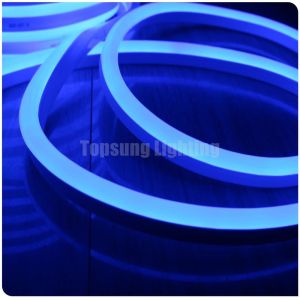 120v Dome LED Strip Lights Neon String Lights Ultra Thin SMD2835