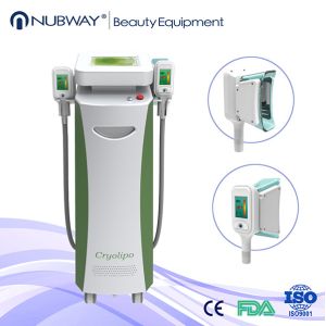 fat removal cryolipolysis machine / cryolipolysis body shaping / lipo cryo cryolipolysis