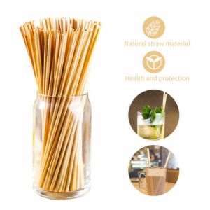 Organic Wheat Stem Paper Straws Recyclable Compostable CE Certificated