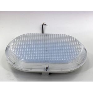 Waterproof Explosion proof IP66 LIGHTING with ATEX/IECEX C1D2 in Gas Station