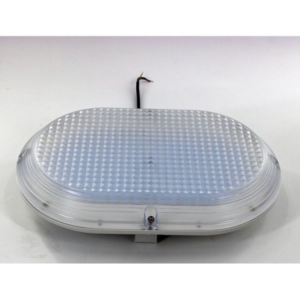 Waterproof Explosion proof IP66 LIGHTING with ATEX/IECEX C1D2 in Gas Station