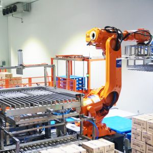 Cold Storage Warehouse ASRS Automated Storage and Retrieval System