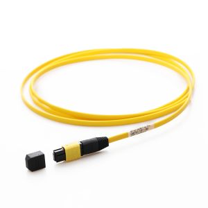 Singlemode G657a1 Fiber Cable MPO MTP 12F 1.5M For FTTX FTTX